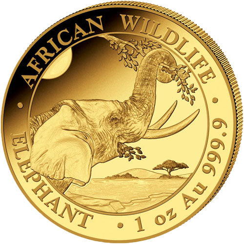 2023 Somali Elephant 1oz gold
